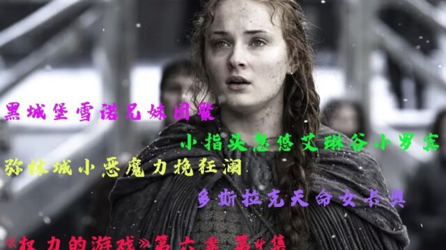 【权游6解读】黑城堡雪诺兄妹团聚,小指头忽悠艾琳谷小罗宾;弥林城小恶魔力挽狂澜,多斯拉克天命女卡奥.嗷呜~权力的游戏第6季第4集