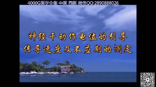 04.神经干动作电位的引导、传导速度及不应期的测定 齐齐哈尔医学院医学机能实验学18集