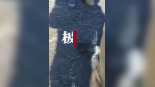 【视频】土耳其士兵偶遇光脚灾民,脱下靴子让对方穿上