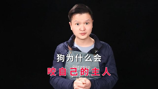 狗为什么会咬自己的主人