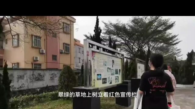 台山实践小分队