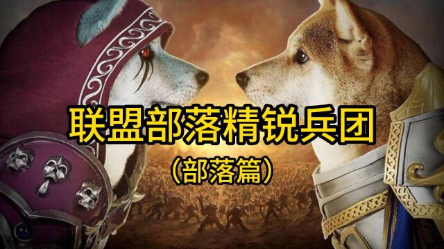 魔兽世界:带你了解,联盟部落精锐兵团(部落篇)