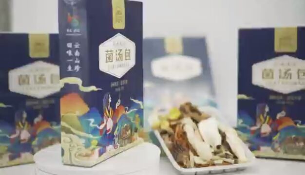 哀牢山之约:文叙情缘,武定江山!山箐箐菌汤包你鲜美!