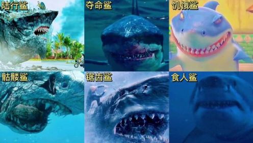 影视里的六版鲨鱼，你觉得哪个更凶猛？在陆地行走的鲨鱼好厉害。#大鲨鱼 #惊险刺激 #保护海洋 #海洋动物