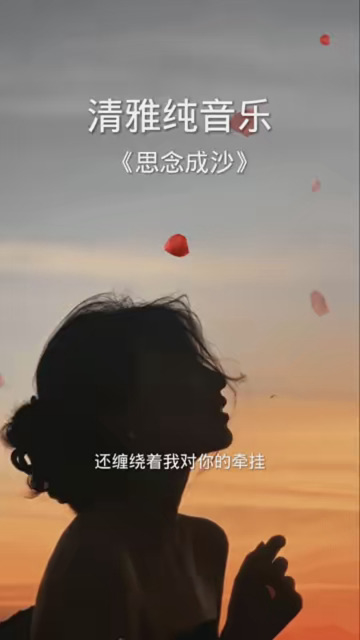 握不住的沙不如扬了它 ,学会释怀,放过自己…… #车载u盘 #歌曲分享