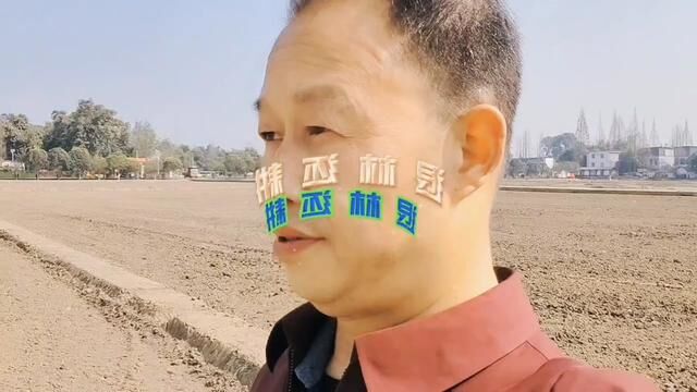 加强土地整理,强化土地管理是确保基本农田不受侵犯的必要手段!#春耕进行时 #土地整理 #大春准备工作 #三农