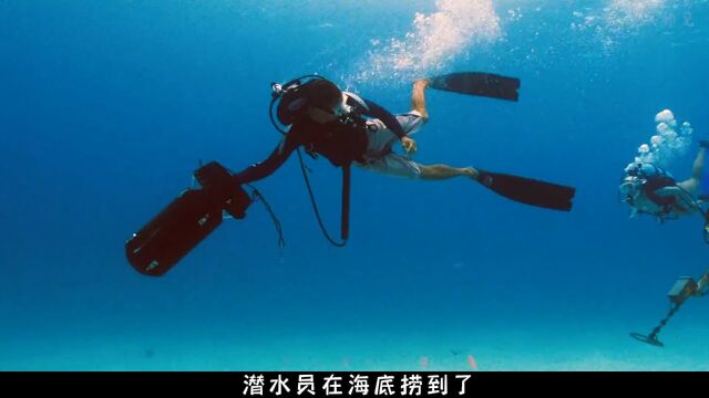 男人潜水在海底捡到6亿黄金!《碧海追踪》第二段