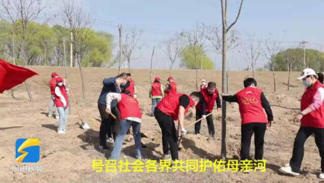 菏泽:70余名市直机关先模人物在黄河岸边植下“党建林”