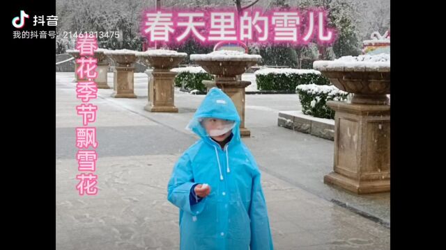 春天里的雪