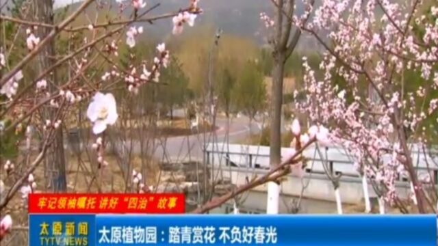 太原植物园:踏青赏花,不负好春光