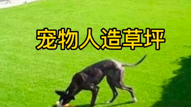 宠物人造草坪 抗菌宠物人造草坪垫