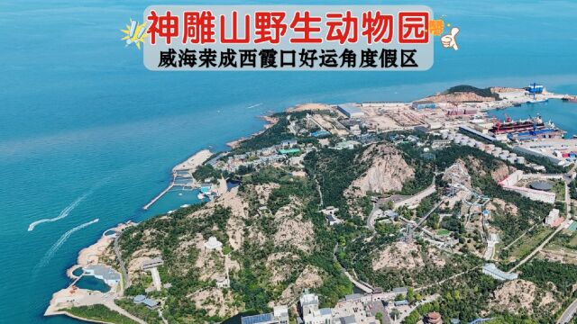 威海西霞口神雕山野生动物园概括介绍!旅游好去处海边风景优美