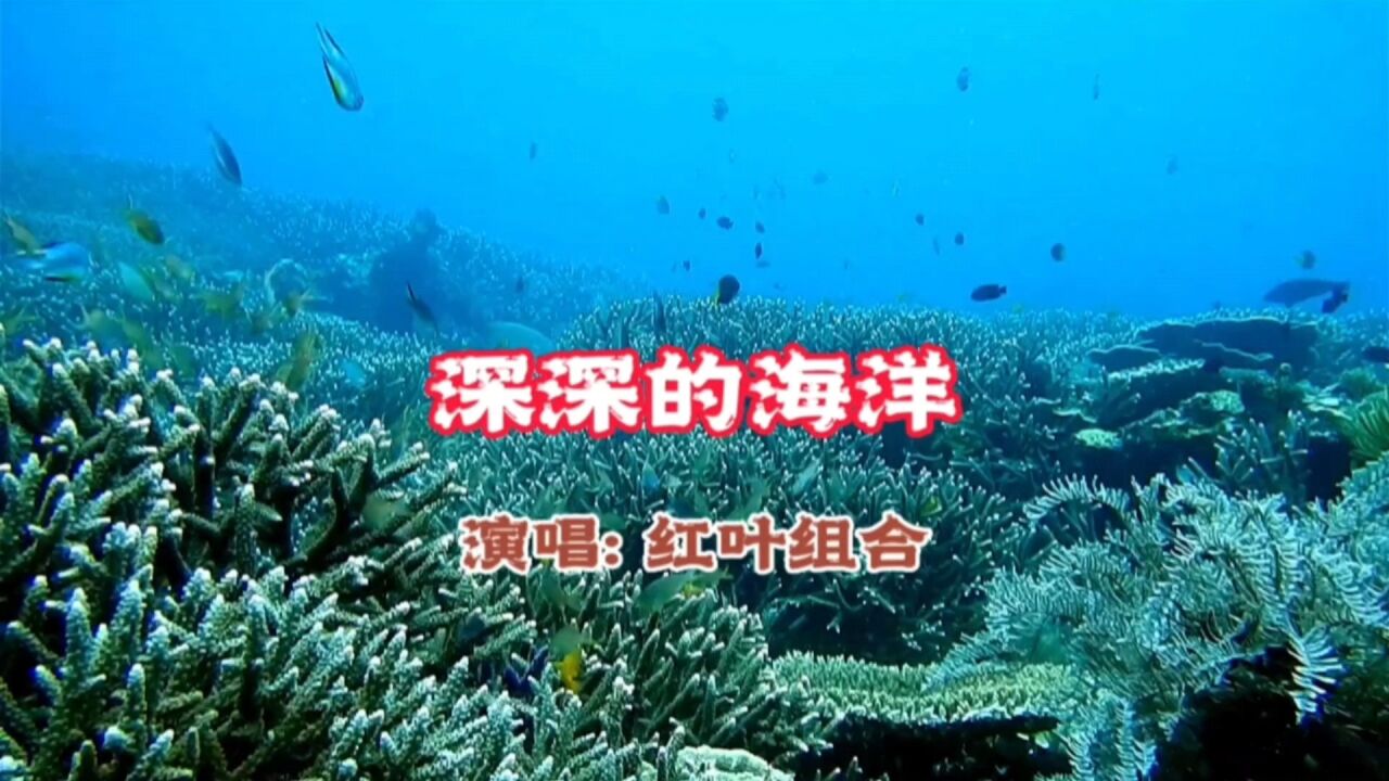 歌曲深深的海洋图片图片