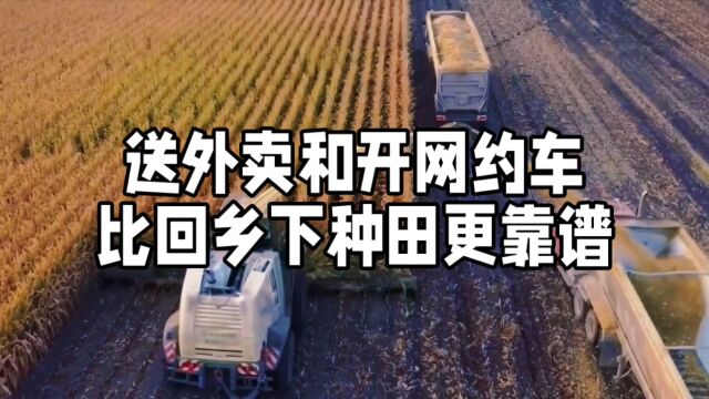 送外卖和开网约车,比回乡下种田更靠谱