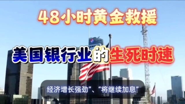 回顾48小时黄金救市,美国银行业的生死时速!