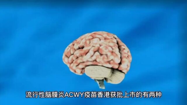 ACWY流脑疫苗香港厂家针剂数量年龄要求