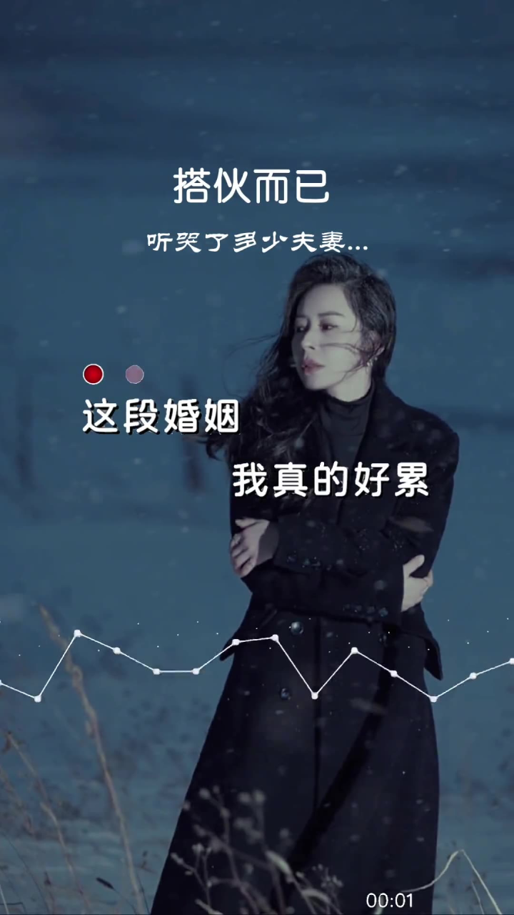 伤感音乐 音乐 搭伙而已 一首歌一