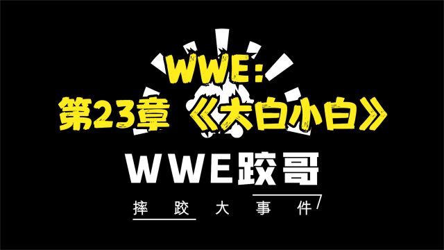 WWE:第23章 《大白小白》