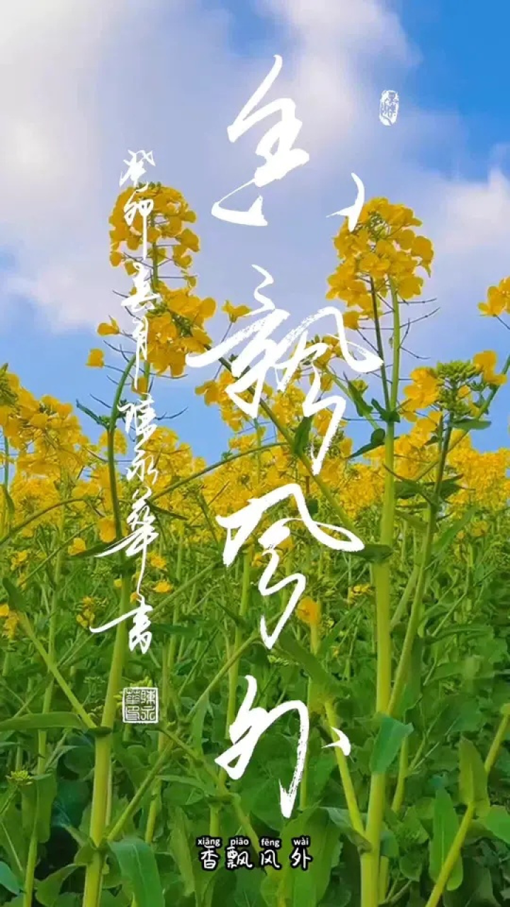 有一种春天叫油菜花开 香飘风外