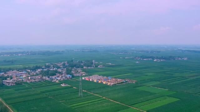 河南春天的麦田有多治愈 ,再美的风景也都比不过 家乡绿油油#河南春天的麦田有多治愈 #河南 #麦田