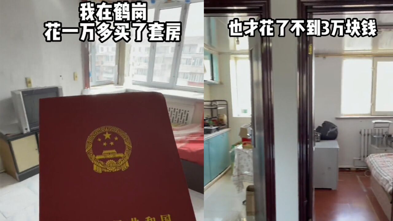 小伙在鹤岗花1万多买了套房，不料睡半月床就塌了：花3万再买一套_高清1080P在线观看平台_腾讯视频