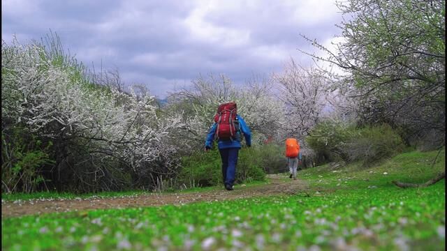 #新疆伊犁风景 #治愈系风景 #春暖花开奔你而来