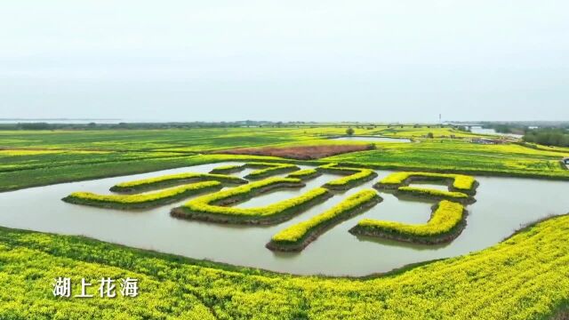 诗歌摄影采风行走进古城高邮