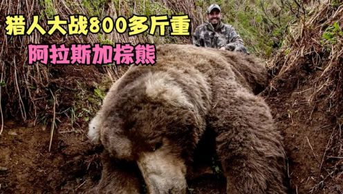 阿拉斯加狩猎季，猎人大战3米长800斤重棕熊，熊掌足有三十多公分