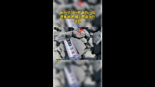 砾石花园布景 砾石小院地面铺建 韶关南雄砾石基地