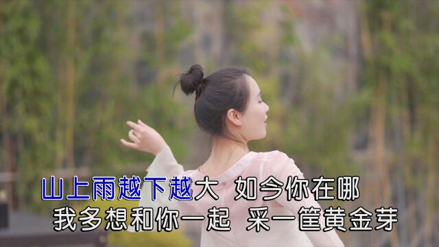 刘定海采茶姑娘(原版)红日蓝月KTV推介