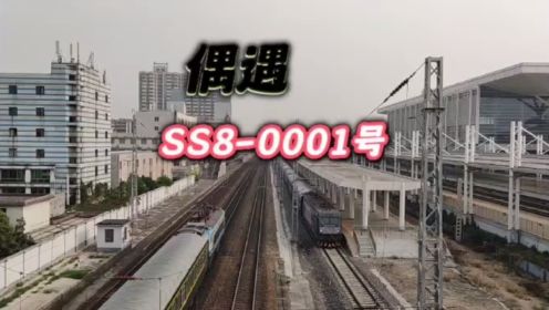 [铁路] 广州北火车站拍车1.5小时，偶遇SS8-0001号！