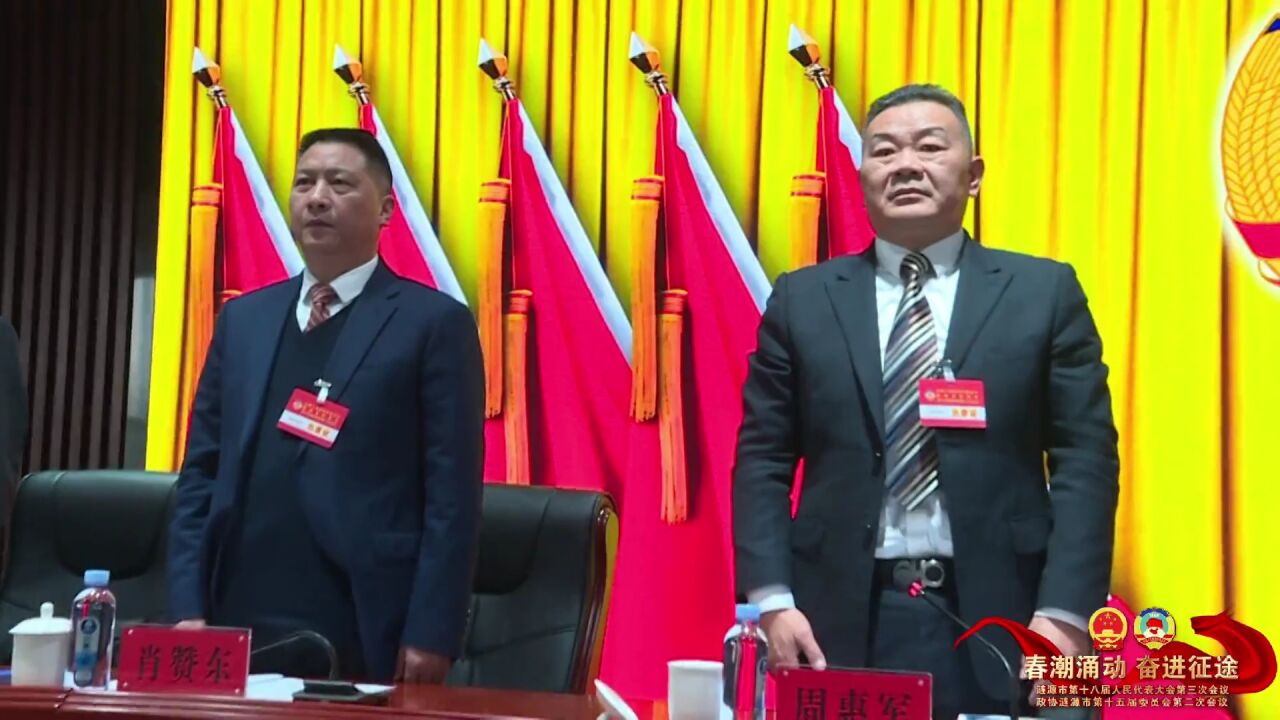 政协涟源市第十五届委员会第二次会议胜利闭幕