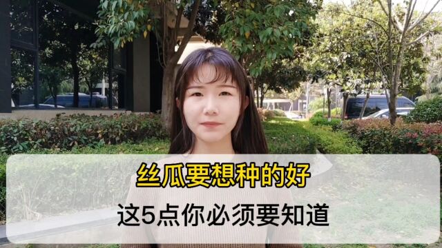 种丝瓜的客户必须要知道的5点