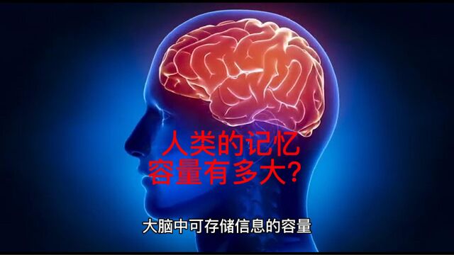 人类的记忆容量有多大?