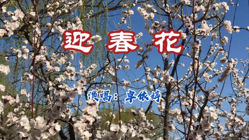 卓依婷粤语怀旧金曲《迎春花》旋律欢快喜庆，甜美动听。
