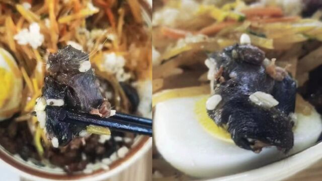 华北理工大学通报食堂疑吃出鼠头:解除中标餐饮公司合同,将追责