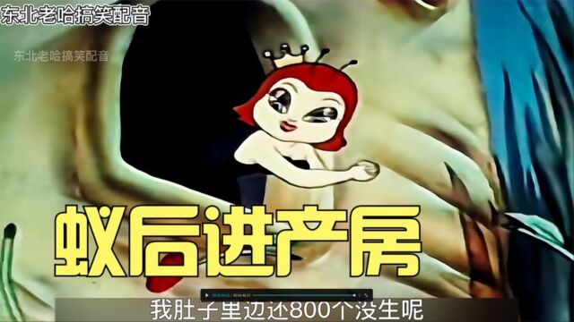 搞笑配音:蚁后凤霞真能生,生完一窝肚子里还有800个!