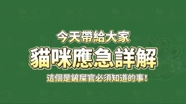 猫咪应急的危害? 究竟什么是猫咪应急呢? 望能帮助各位铲屎官 感谢台湾兄弟ArWan的素材分享 素材来源台湾宠爱卷毛猫舍