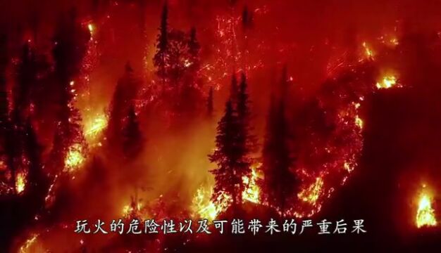 结合实际 加强宣传丨县城管局联合交警大队对环卫工人及驾驶员进行交通安全知识培训