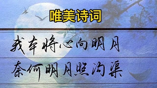 我本将心向明月,奈何明月照沟渠.#手写 #书法 #行书 #练字 #古诗词