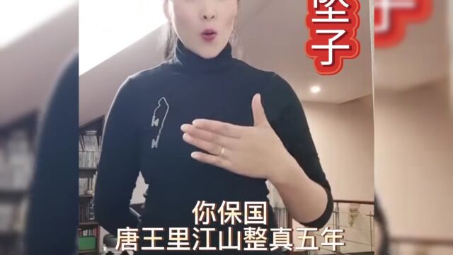 河南坠子《大实话》