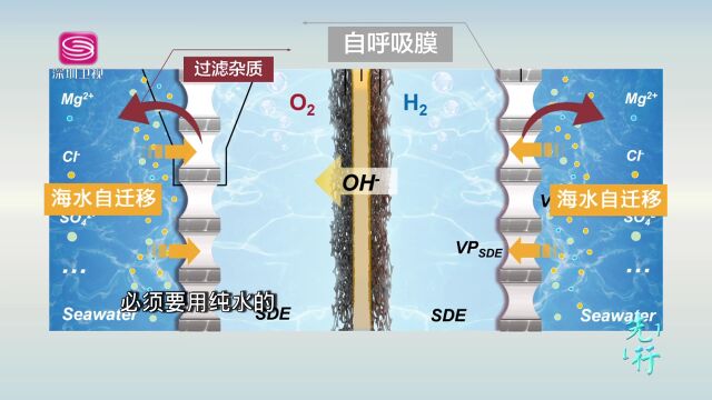 院士深圳“再创业”记:谢和平的跨界冒险之旅 | 先行故事汇