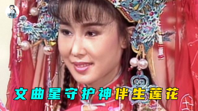 状元夫人李碧莲的身世之谜,文曲星守护神伴生莲花托世3