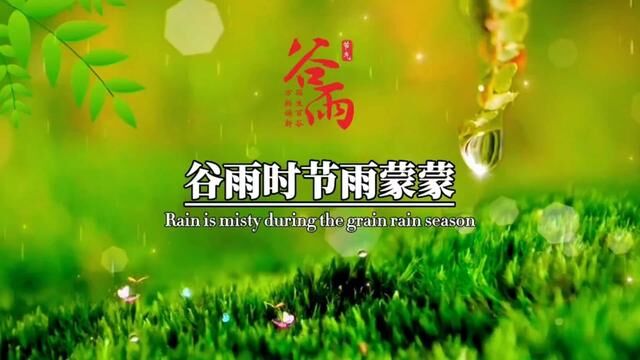 “谷雨至,春将尽,谷雨时节雨萌萌,万物润心好年景,雨生百谷,福临天下,谷雨是一年中最好的节气,谷雨过后再无寒,人间芳菲已向暖