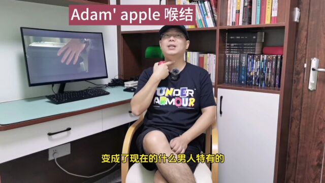 Adam's apple 喉结