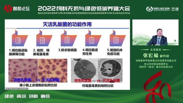 2022颐和论坛精彩回顾:中国农科院北京畜牧兽医研究所张宏福研究员