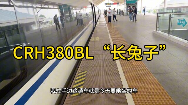 G242厦门到青岛高铁运转记录,曲阜东站停靠13分钟,待避两列高铁