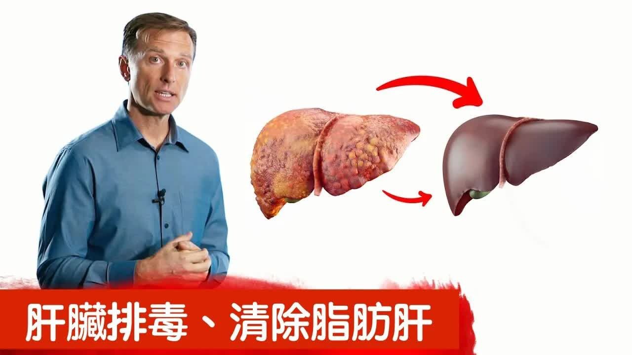 去除脂肪肝,肝排毒技巧,自然療法,柏格醫生 dr berg