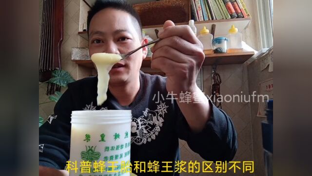 蜂王胎与蜂王浆的效果有什么区别功效与作用不同蜂王浆蜂王胎哪个对女人更好 #蜂王浆 #蜂王胎 #蜂胶 蜂蜜蜂花粉关注小牛蜂蜜了解更多蜂知识蜂王浆怎么...