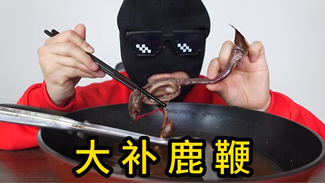 368网购的大补鹿鞭,没想到还有惊喜!